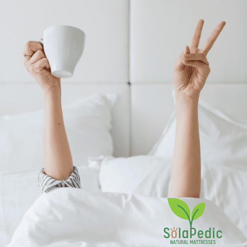 Best Natural Latex Mattress SolaPedic 2