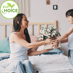 EcoChoice Affordable Natural Family Mattress by SolaPedic