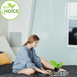 EcoChoice Affordable Natural Mattress by SolaPedic 5