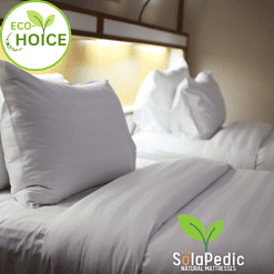 EcoChoice Affordable Natural Mattress by SolaPedic 8