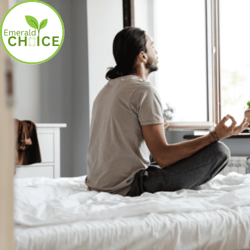 EmeraldChoice Best Latex Mattress by HomeoPedic 6