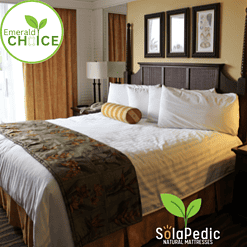 EmeraldChoice Best Latex Mattress by SolaPedic 12