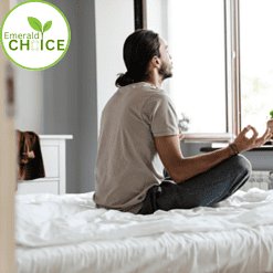 EmeraldChoice Best Latex Mattress by SolaPedic 6