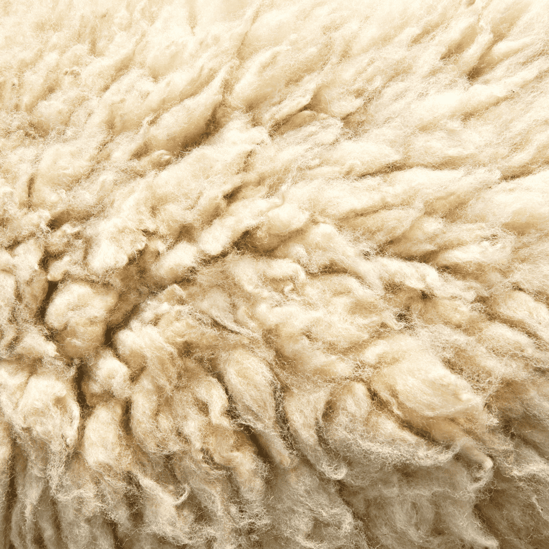 Organic Wool