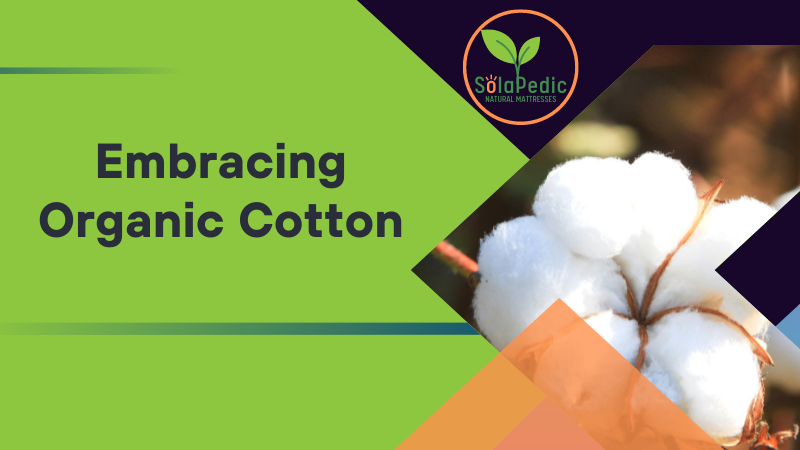 Embracing Organic Cotton