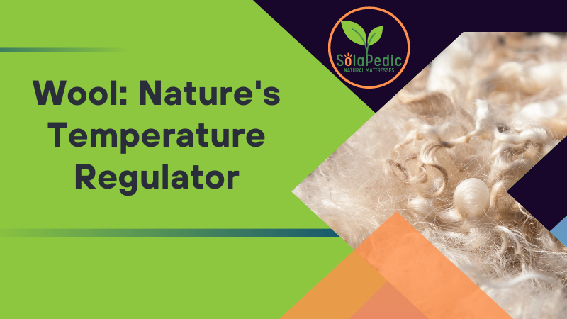 Wool Natures Temperature Regulator